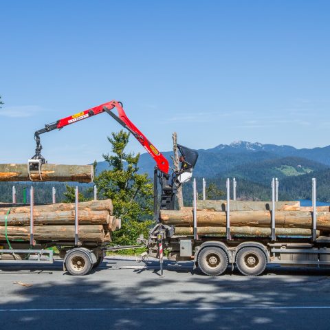 Forestry and recycling cranes